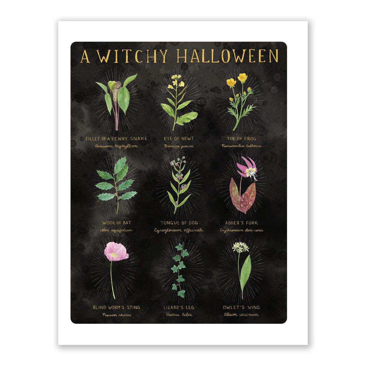 Witchy Halloween Botanical Card - Shakespeare Macbeth Halloween Card