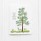 Uplifting Fathers Day Card - Dad Greeting Card