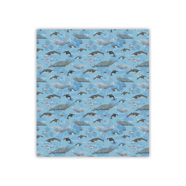 Marine Mammals Sponge Cloth - Cellulose Dish Cloth