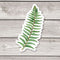 Sword Fern - Watercolor Fern Sticker