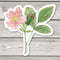 Wild Rose - Watercolor Wildflower Sticker