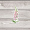Foxglove Sticker - Watercolor Floral Vinyl Sticker
