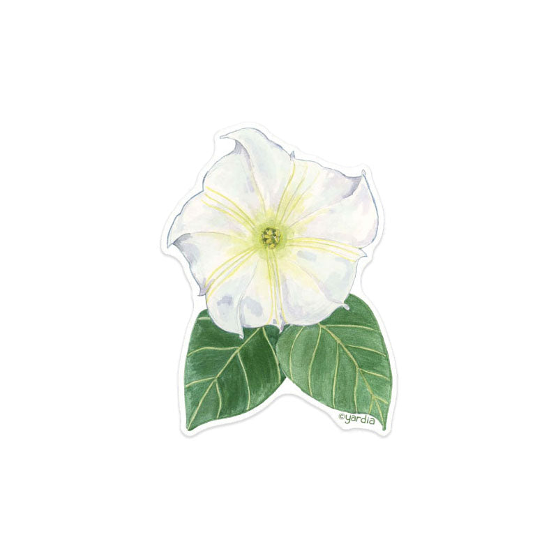 Moonflower Sticker - Watercolor Botanical Vinyl Sticker