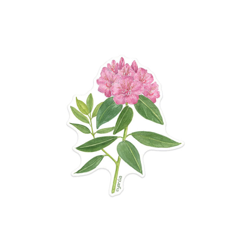 Rhododendron Sticker - Pacific Northwest Watercolor Botanical Vinyl Sticker