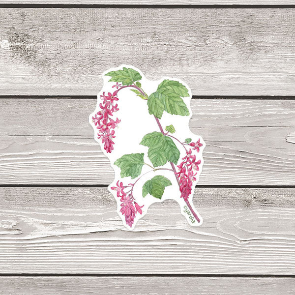 Red Flowering Currant Sticker - Pacific Northwest Watercolor Botanical Vinyl Sticker