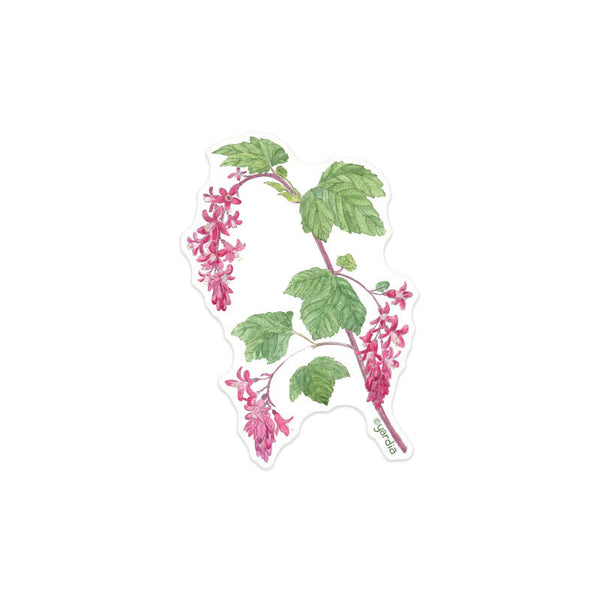 Red Flowering Currant Sticker - Pacific Northwest Watercolor Botanical Vinyl Sticker