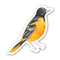 Baltimore Oriole Bird Sticker - Watercolor bird sticker featuring a detailed oriole illustration. Durable vinyl, perfect for personalizing gear and supporting bird conservation.