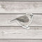 Bushtit Bird Sticker - Watercolor Birding Vinyl Sticker