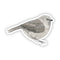 Bushtit Bird Sticker - Watercolor Birding Vinyl Sticker featuring a detailed watercolor illustration of a Bushtit bird, ideal for personalizing items and supporting conservation.