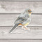 California Towhee Bird Sticker - Watercolor Birding Vinyl Sticker