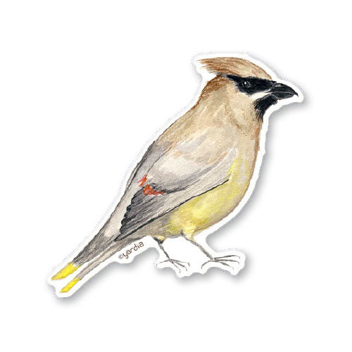 Cedar Waxwing Bird Sticker - Watercolor vinyl sticker featuring a detailed bird sketch, perfect for personalizing items and celebrating your love for birding.