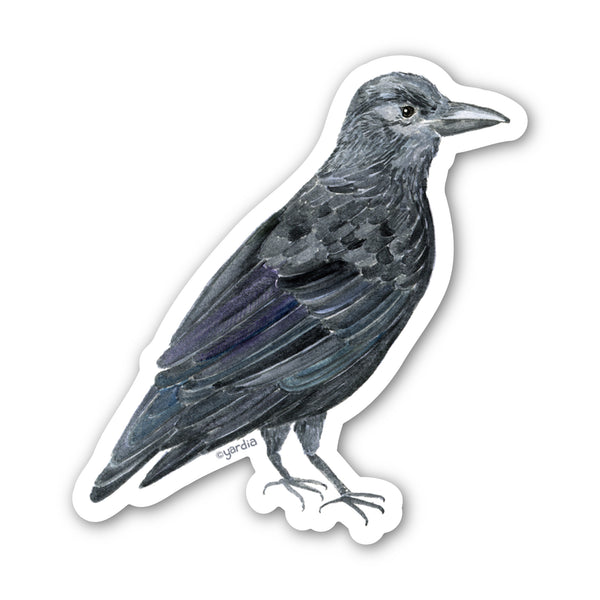 Crow Bird Sticker - Watercolor Birding Vinyl Sticker featuring a detailed raven sketch, ideal for customizing personal items. Durable, weatherproof, and dishwasher safe.
