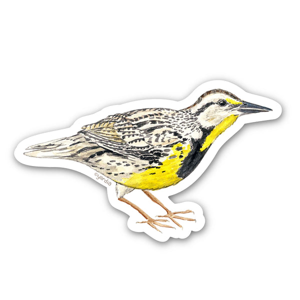 Eastern Meadowlark Bird Sticker - Watercolor Birding Vinyl Sticker; features a watercolor Eastern Meadowlark by Brigida Swanson, perfect for customizing belongings with a nature-inspired touch.
