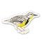 Eastern Meadowlark Bird Sticker - Watercolor Birding Vinyl Sticker; features a watercolor Eastern Meadowlark by Brigida Swanson, perfect for customizing belongings with a nature-inspired touch.
