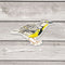 Eastern Meadowlark Bird Sticker - Watercolor Birding Vinyl Sticker