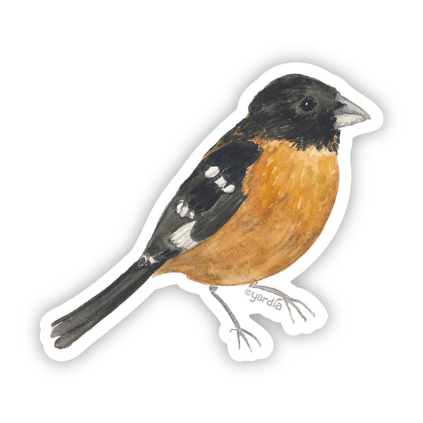 Grosbeak Bird Sticker - Watercolor Birding Vinyl Sticker featuring a watercolor drawing of a bird, crafted by artist Brigida Swanson. Durable, weatherproof, and ideal for nature enthusiasts.