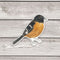 Grosbeak Bird Sticker - Watercolor Birding Vinyl Sticker