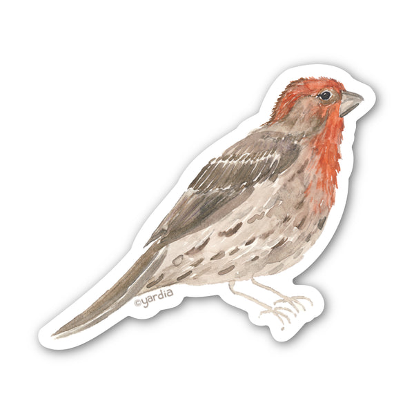 House Finch Bird Sticker - Watercolor Birding Vinyl Sticker depicting a sparrow in watercolor, showcasing durable, weatherproof design by artist Brigida Swanson for Yardia.