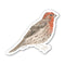 House Finch Bird Sticker - Watercolor Birding Vinyl Sticker depicting a sparrow in watercolor, showcasing durable, weatherproof design by artist Brigida Swanson for Yardia.