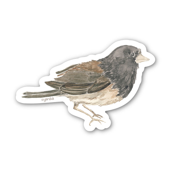 Junco Bird Sticker - Watercolor Birding Vinyl Sticker: a durable, weatherproof vinyl sticker featuring a watercolor illustration of a Junco bird by artist Brigida Swanson.