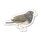 Junco Bird Sticker - Watercolor Birding Vinyl Sticker: a durable, weatherproof vinyl sticker featuring a watercolor illustration of a Junco bird by artist Brigida Swanson.