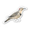 Northern Flicker Bird Sticker - Watercolor Birding Vinyl Sticker depicting a watercolor Northern Flicker, perfect for personalizing items, showcasing birding passion. Durable, weatherproof vinyl.