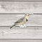 Northern Flicker Bird Sticker - Watercolor Birding Vinyl Sticker