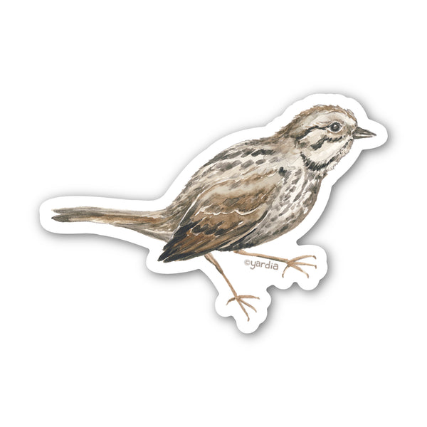 Song Sparrow Bird Sticker showcasing a detailed watercolor sketch by Brigida Swanson, ideal for personalizing items. Durable, weatherproof, and perfect for bird enthusiasts.