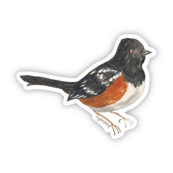 Spotted Towhee Bird Sticker in watercolor, durable vinyl, 3x3, depicting nature's beauty. Ideal for personalizing items, celebrating bird love. Created by Brigida Swanson.
