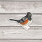 Spotted Towhee Bird Sticker - Watercolor Birding Vinyl Sticker