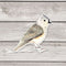 Tufted Titmouse Bird Sticker - Watercolor Birding Vinyl Sticker