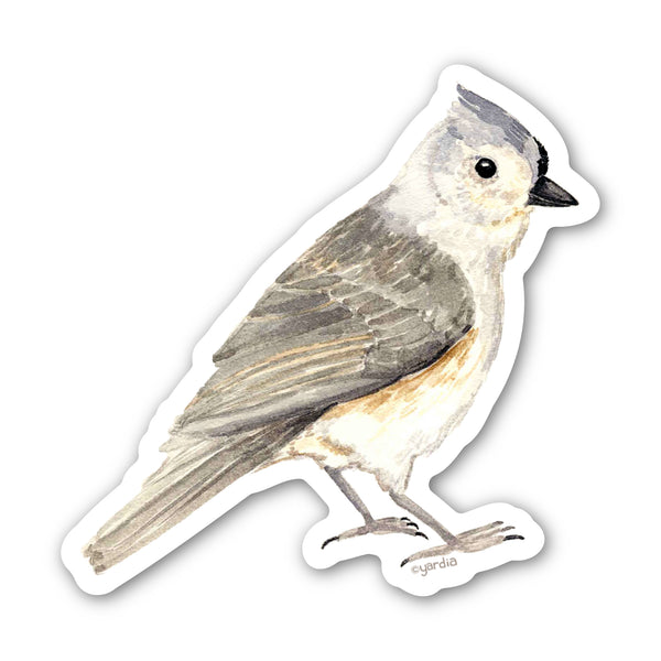 Tufted Titmouse Bird Sticker - a detailed watercolor sketch of a bird, crafted on durable vinyl, perfect for adding a nature-inspired touch to various surfaces.