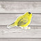 Wilson's Warbler Bird Sticker - Watercolor Birding Vinyl Sticker
