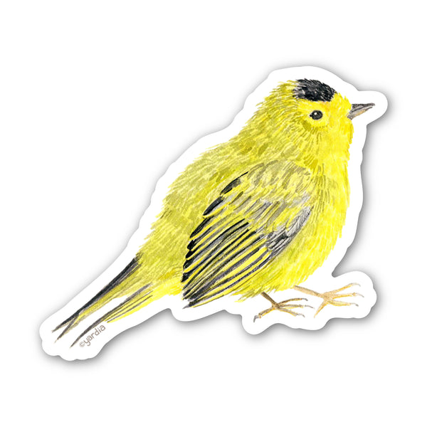 Watercolor sketch of Wilson's Warbler bird sticker, showcasing its head and feet. Durable vinyl, 3x3, perfect for personalizing items with a nature theme.