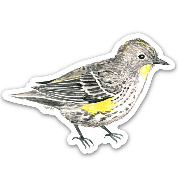 Yellow Rumped Warbler Bird Sticker, a watercolor vinyl sticker depicting a bird, ideal for personalizing items with a nature-inspired touch, by Yardia artist Brigida Swanson.