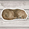 Dog Sticker - Watercolor Chocolate Lab Puppy Vinyl Sticker