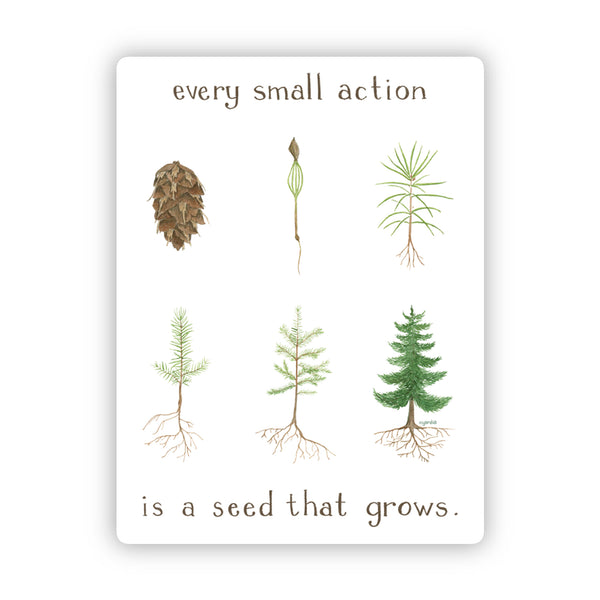 Every Small Action Sticker - Watercolor Activist Vinyl Sticker showing a Douglas fir life cycle, symbolizing small actions for environmental change by Brigida Swanson.