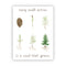 Every Small Action Sticker - Watercolor Activist Vinyl Sticker showing a Douglas fir life cycle, symbolizing small actions for environmental change by Brigida Swanson.