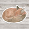 Watercolor-style Fox Sticker, depicting a curled sleeping fox with head and ears visible, on a wooden surface. Durable, weatherproof vinyl for laptops, journals, or bottles.