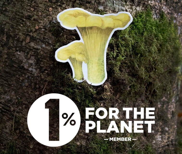 Sticker of a mushroom on a tree trunk with '1% for the Planet' logo.