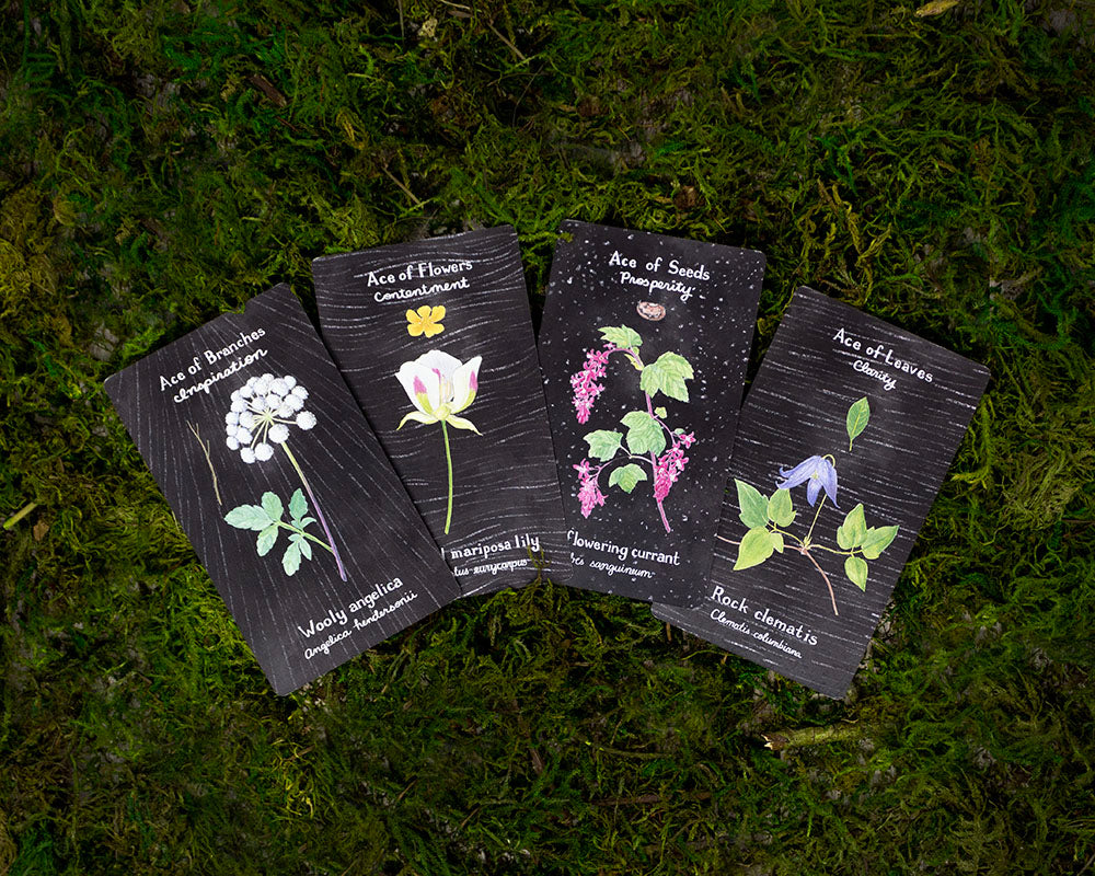 The Plant Companion Tarot features a set of cards adorned with floral illustrations, reflecting Yardia's Pacific Northwest-inspired artistic style.