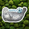 Seattle Soccer Harbor Seal Sticker - World Cup Sticker