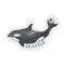 Seattle Soccer Orca Sticker - World Cup Sticker