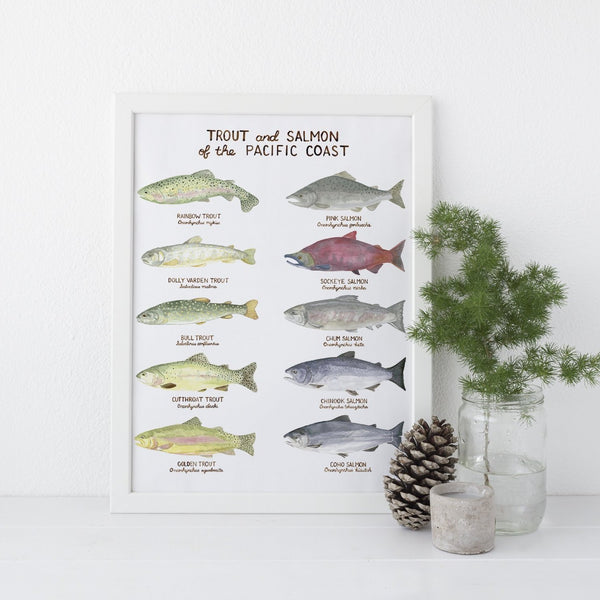 trout and salmon of the pacific coast art print
