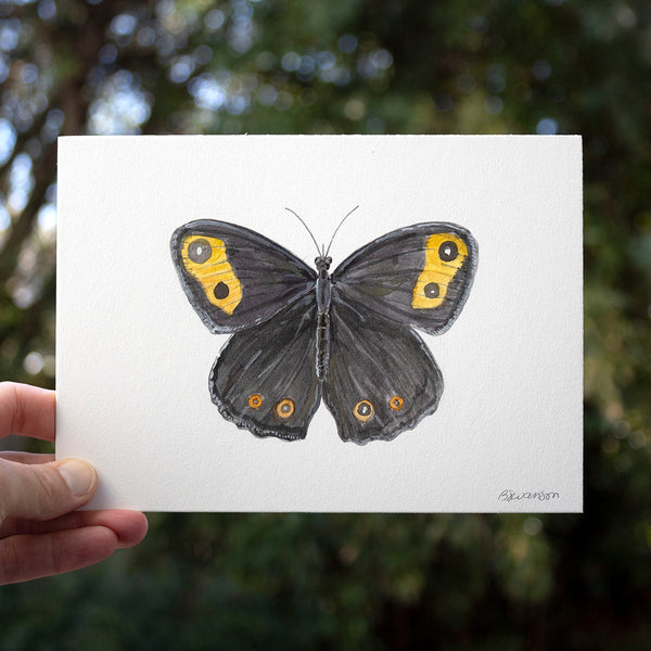 small original watercolor painting of a wood nymph butterfly