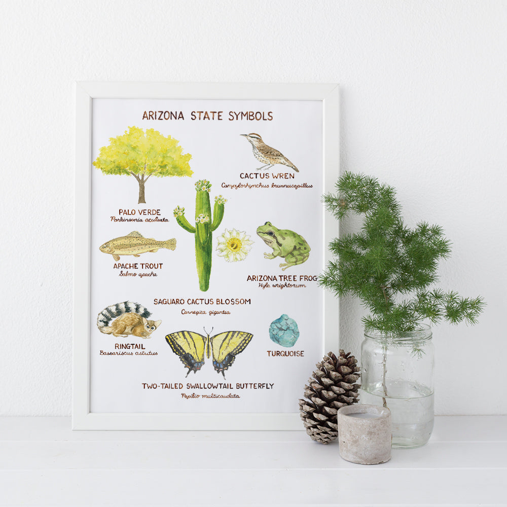 arizona state symbols art print, pictured with frame and natural home decor