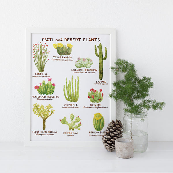 cacti art print with watercolor illustrations