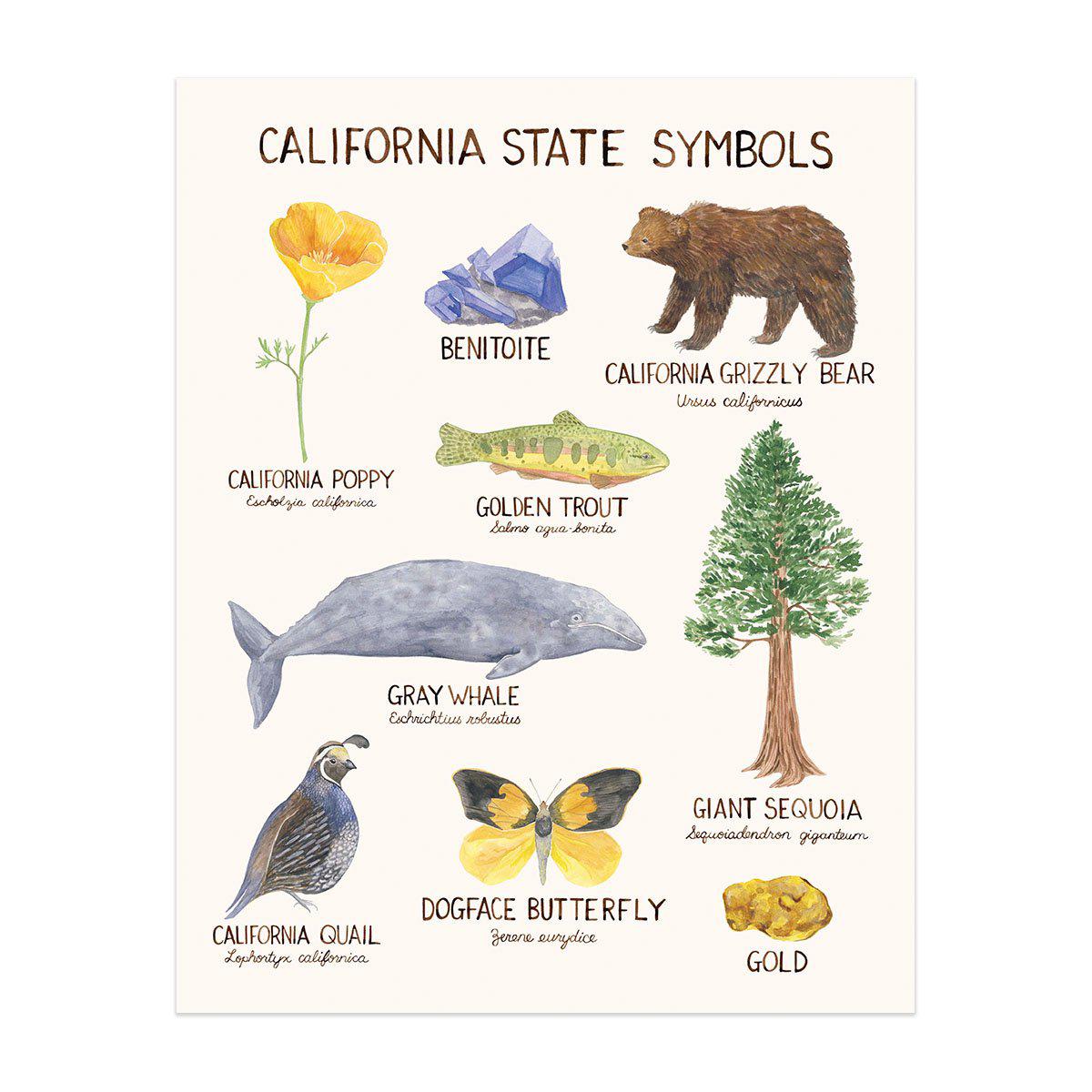 California State Symbols Watercolor Art Print featuring animals and nature elements, showcasing the natural beauty of California's state symbols.