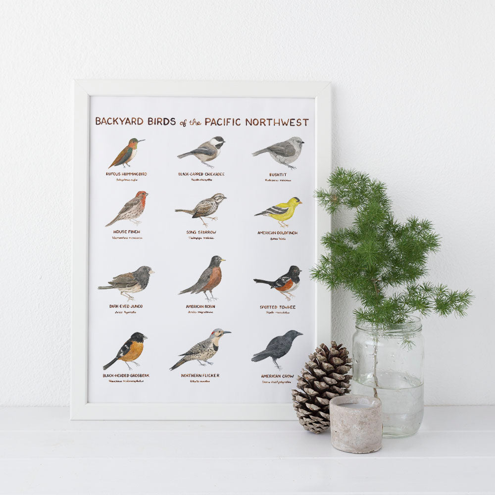 backyard birds of the pacific northwest watercolor art print, pictured in white frame with nature-inspired home decor