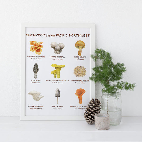mushrooms of the pacific northwest art print